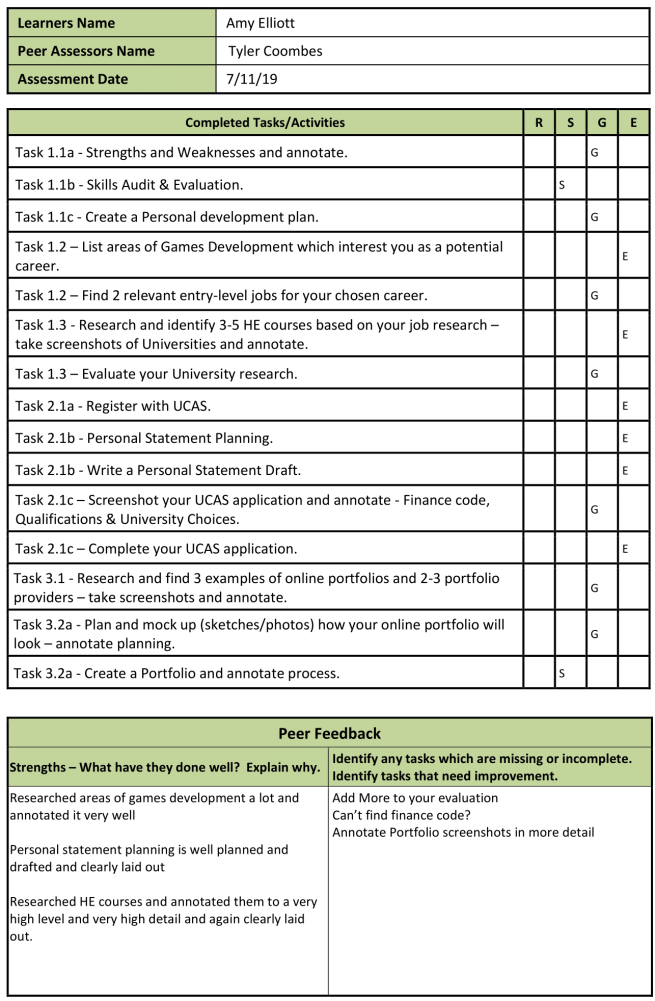Peer Review _ Action Plan INTERIM 1-1